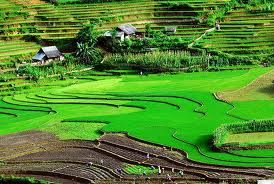 西北部・ソンラー省の魅力を観光へ